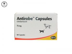 zoetis Antirobe tablets (Clindamycin Hydrochloride) 75 tabs- 75mg-300mg
