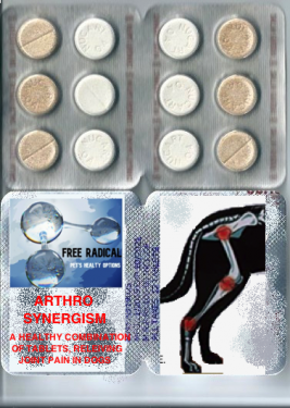 Free Radical arthro-synergism Organic tablets 900mg  (boswallia serrata 400mg - chingati Satva 500mg) 120 tabs 