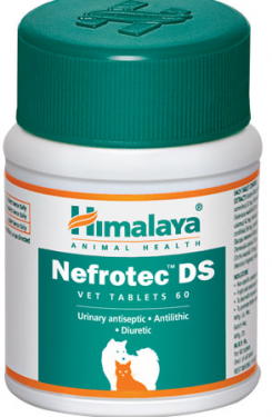 Himalaya Nefrotec DS - Diuretic and urinary antiseptic -Herbal gokshura