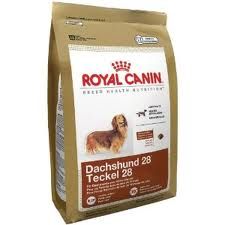 Royal Canin
MINI Dachshund 28