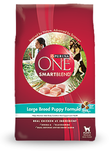 Purina One
Large Breed Puppy Formula