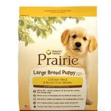 Nature's Variety
Prairie Chicken & Rice Large Breed Puppy Formula