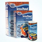 Tetra
KOI GROWTH - BOX