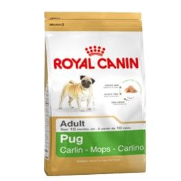 Royal Canin Pug 1.5kg