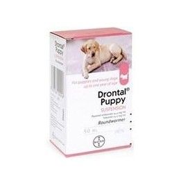 Bayer Drontal Puppy 100ml