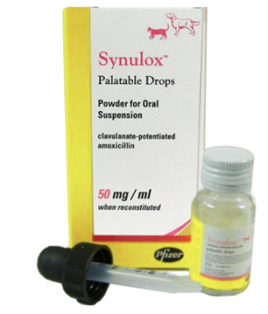Zoetis Synulox/ clavamox powder palatable drops oral suspension (Amoxicillin & Potassium Clav) 50mg/ml