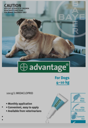 Bayer Advantage Teal for medium dogs (4-10kg) 4x1.0ml