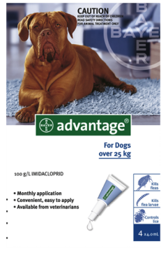 Bayer Advantage gray for XL dogs (over 25kg) 4x4.0ml 