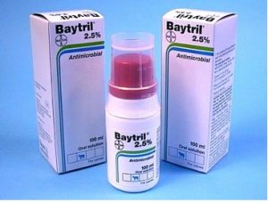 Bayer Baytril 2.5 % (enrofloxacin) sold per ml