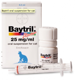 Baytril oral suspension Generic for Cats flavoured  2.5mg/-   25ml bottle