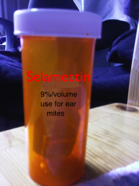 Ear Mite treatment vial (Selamectin 9%)