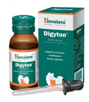 Himalaya Digyton (Natural Enzyme promoter) 30ml