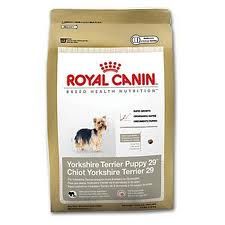 Royal Canin
Yorkshire Terrier Puppy 29