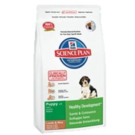 Hills Science Plan Canine Puppy Large Breed Chicken 11kg