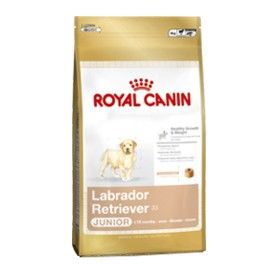 Royal Canin Junior Labrador Retriever 12KG