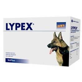 Lypex Blister Capsules Pack of 60