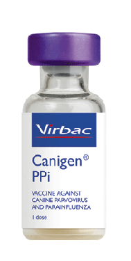 Virbac Vaccine DHPPi 1ml vials,  or  Nobivac DHPPi 