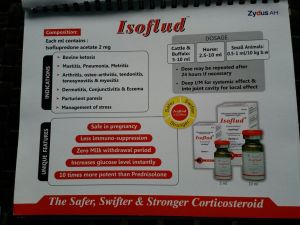 zydus AH - Isoflud inj, isoflupredone inj